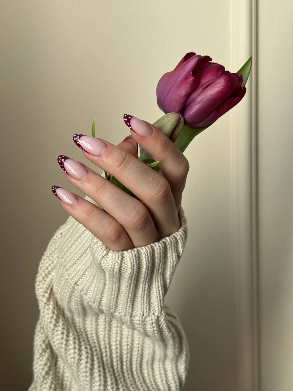 Manicure z bordowym frenchem i kropeczkami — dłoń trzymająca tulipan